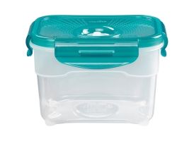 1L food container